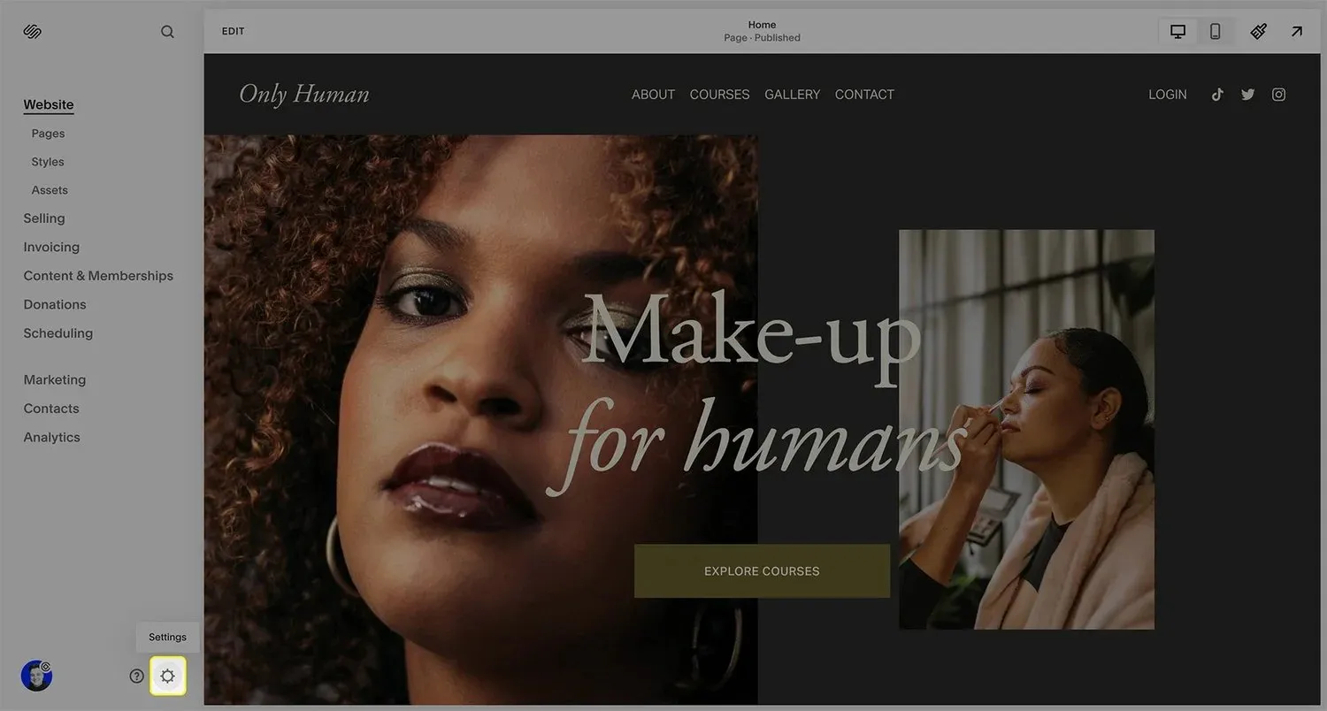 A screenshot of the Squarespace settings menu.