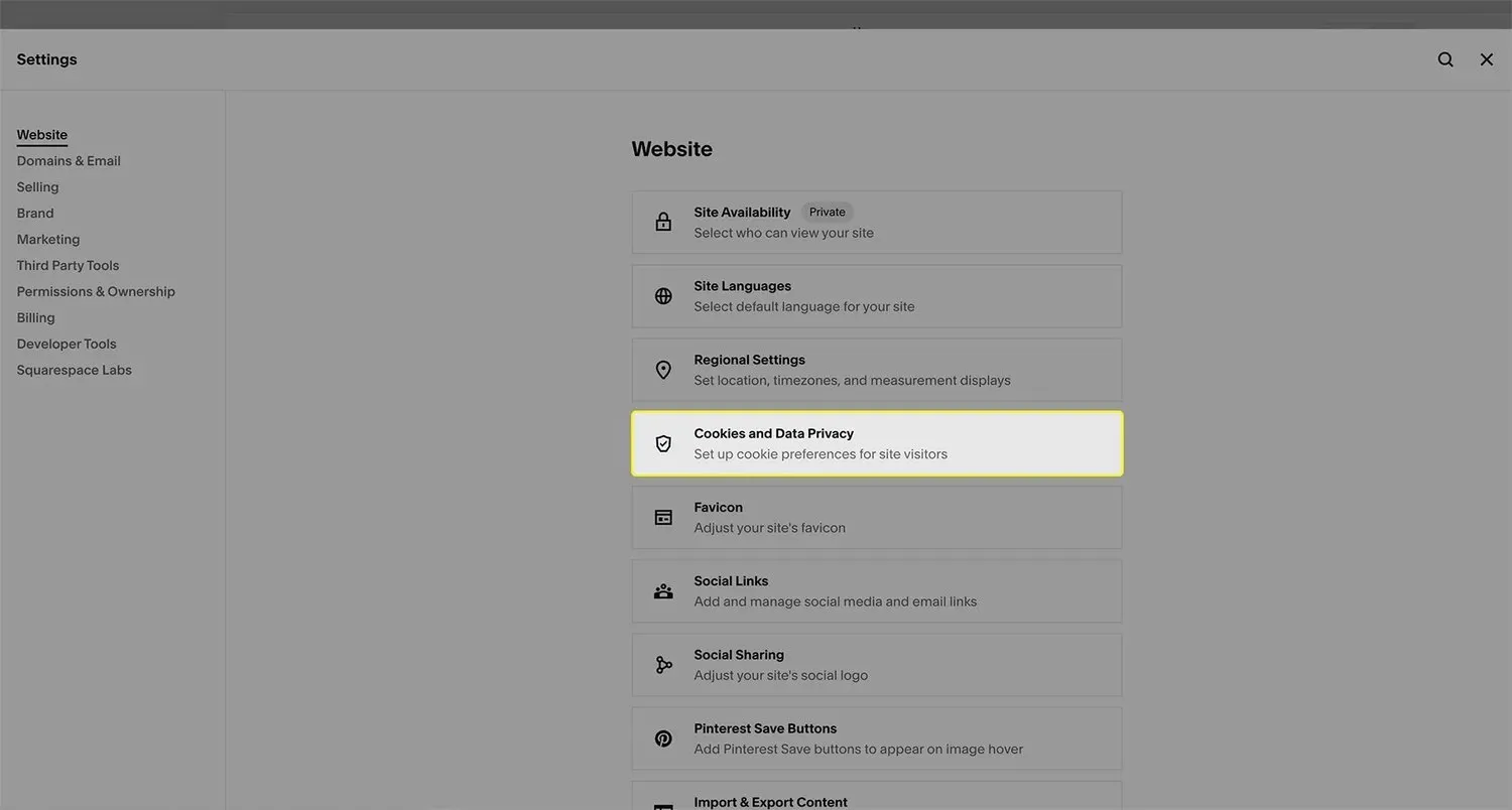 A screenshot of the Squarespace settings menu.