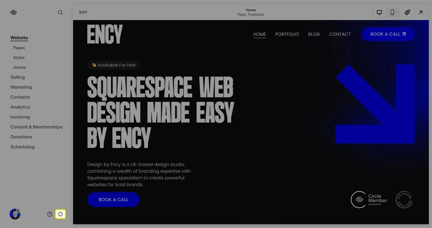 A screenshot of the Squarespace settings menu.