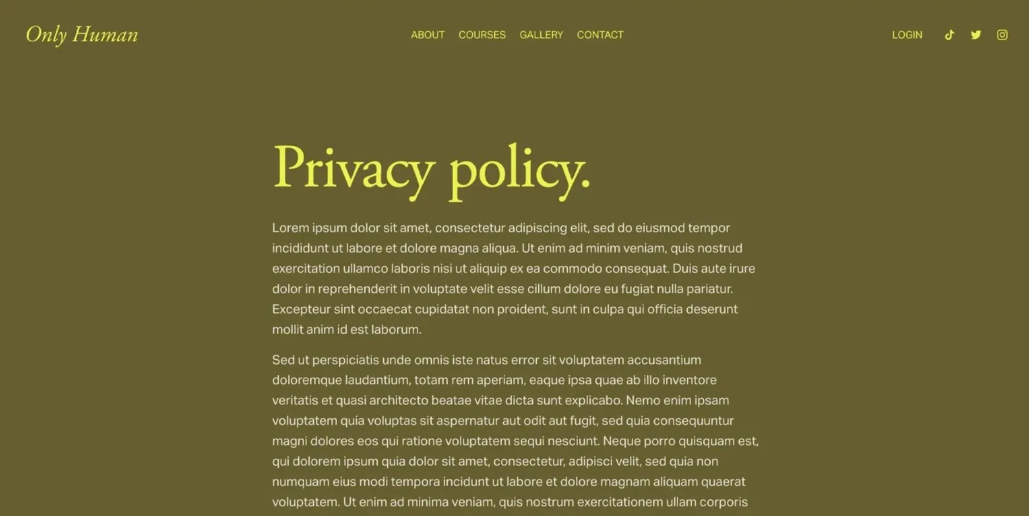 A screenshot of privacy policy