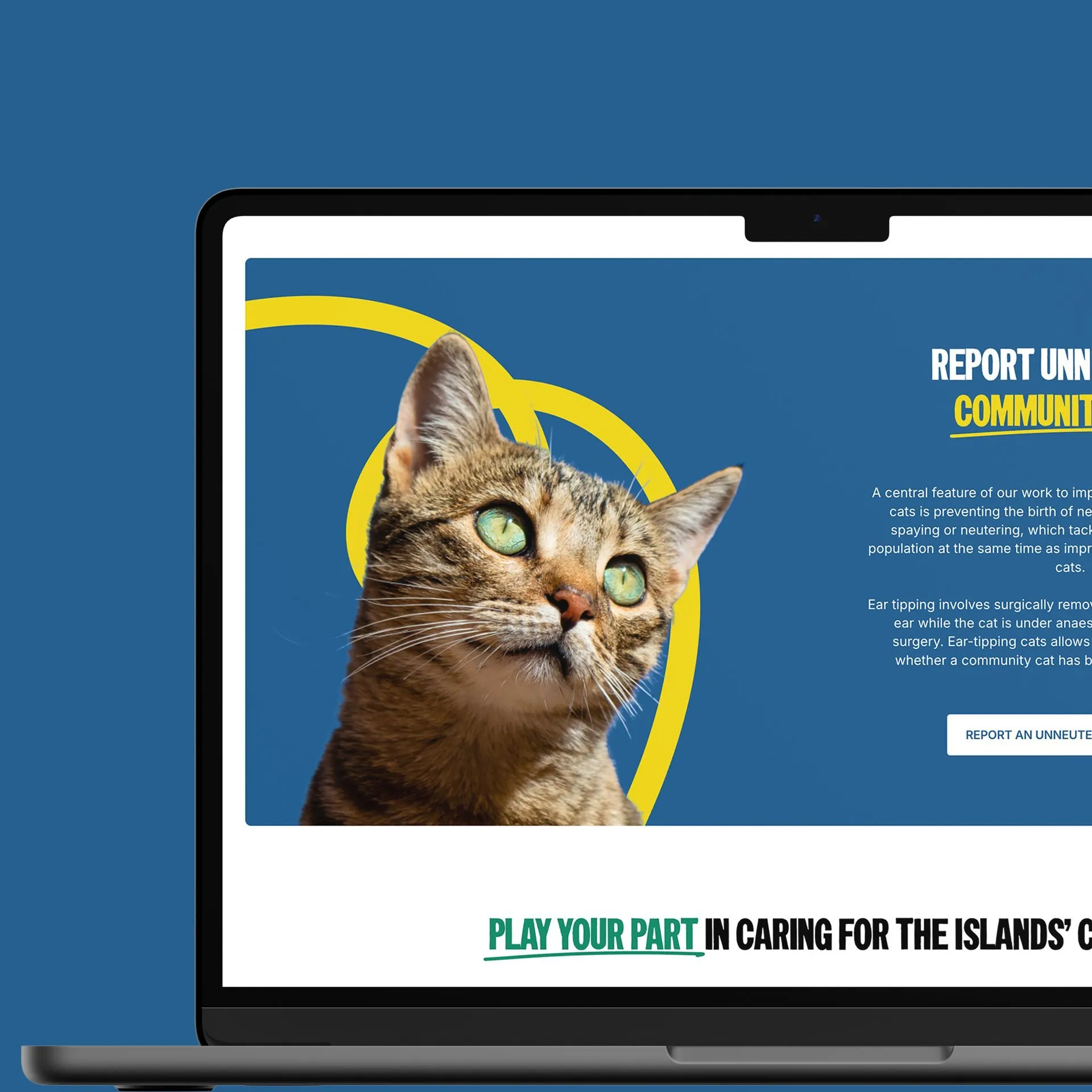Animal Action Greece website on a laptop