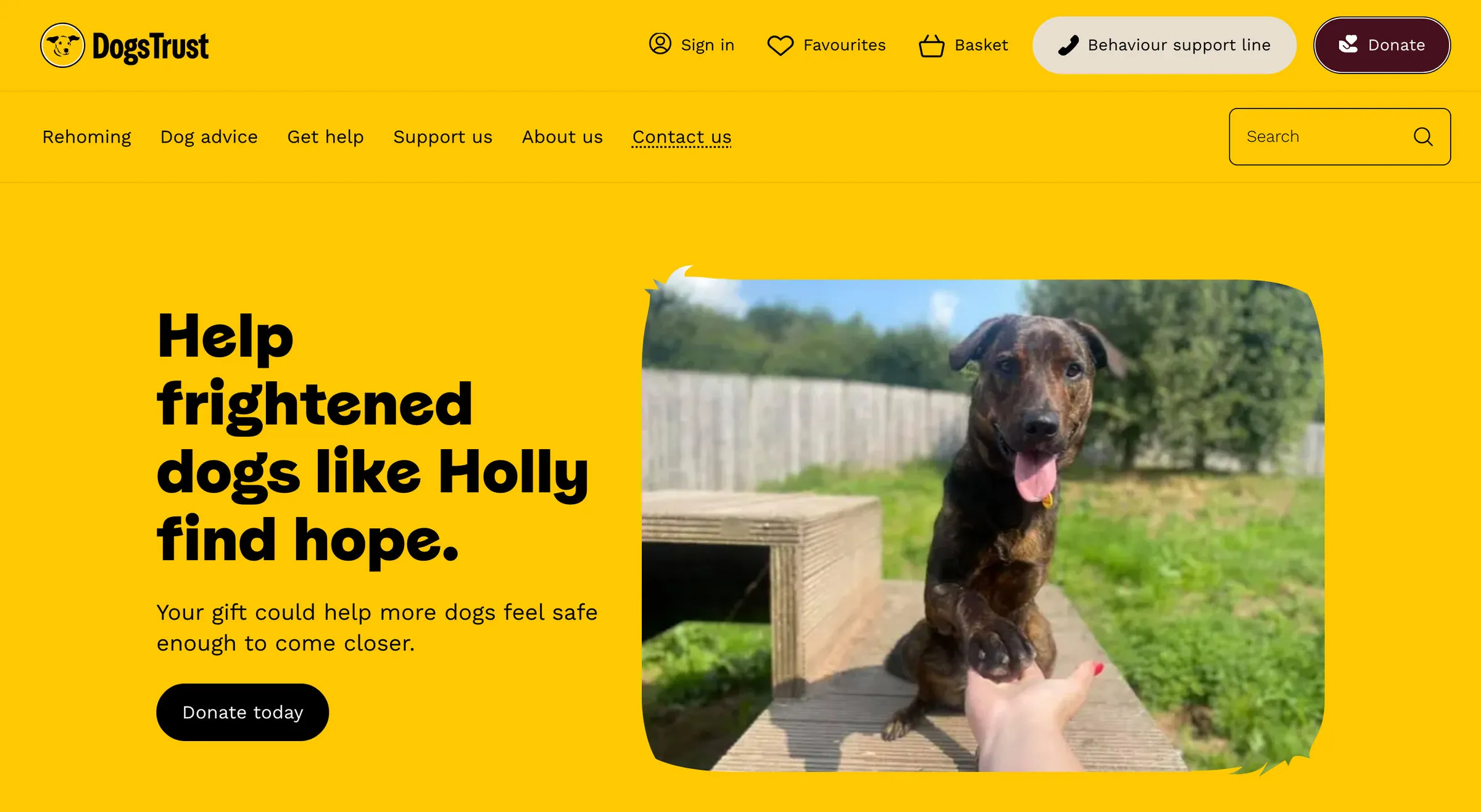Dogs Trust’s homepage: a yellow screen with the headline Help frightened dogs like Holly find hope, a photo of a black dog in a kennel, and a Donate today button