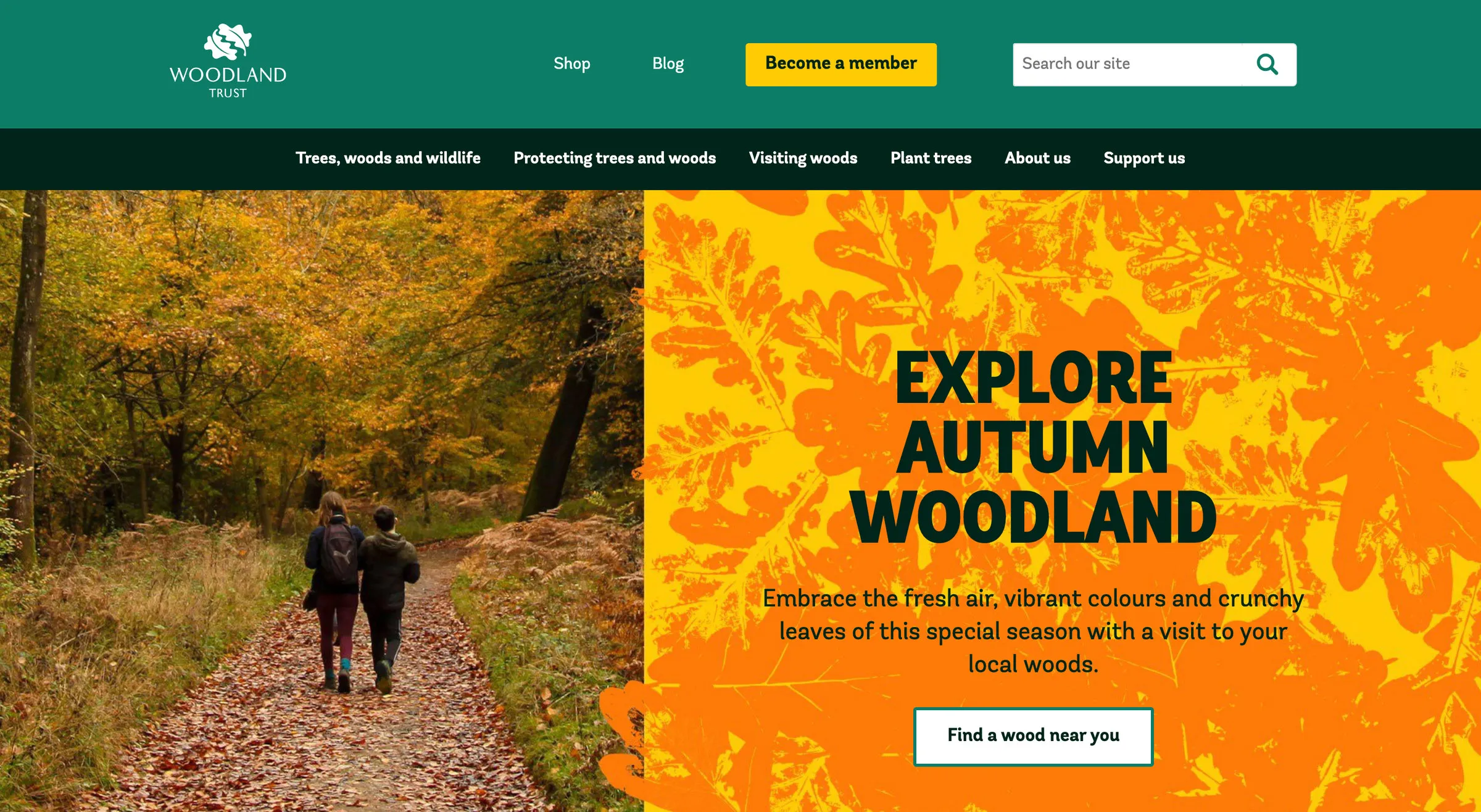 Woodland Trust’s homepage: a full-width photo of two people walking through orange autumn woodland under the headline Explore Autumn Woodland, with a green Become a member button in the header