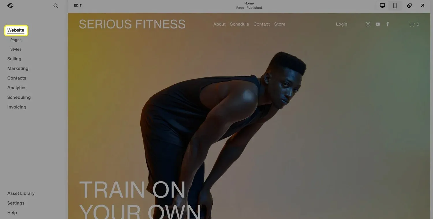 A screenshot of the Squarespace editor, highlighting the "Website" option in the menu.