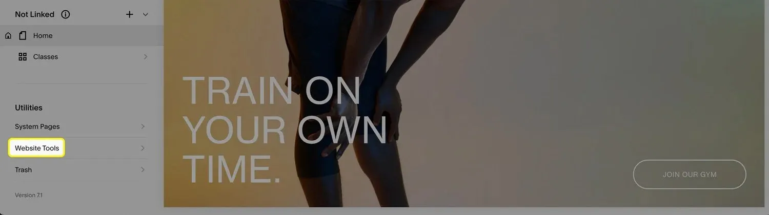 A screenshot of the Squarespace editor, highlighting the "Website Tools" option in the menu.
