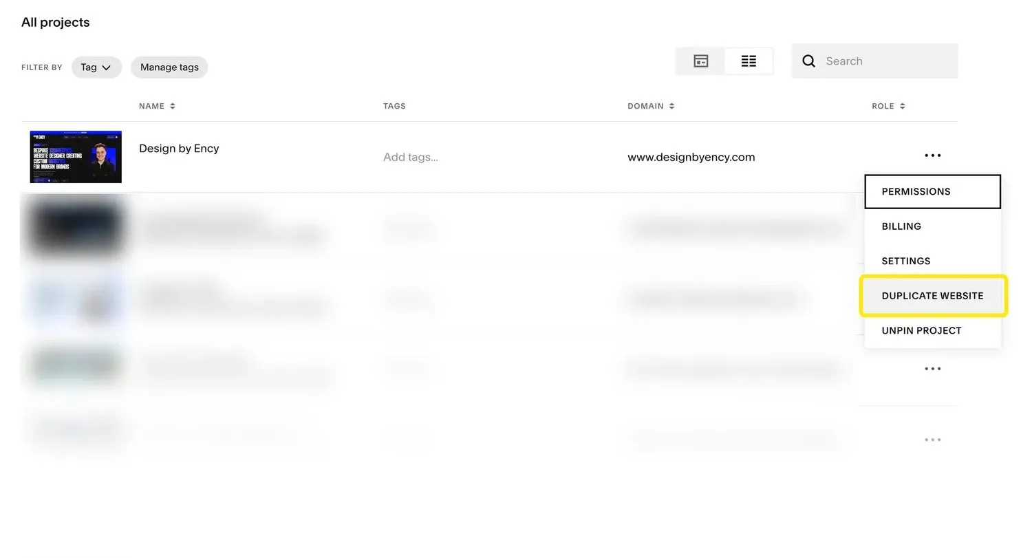 Step 1: Duplicate Your Site
